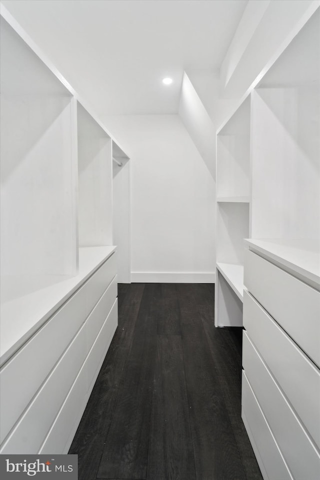 spacious closet with dark hardwood / wood-style flooring