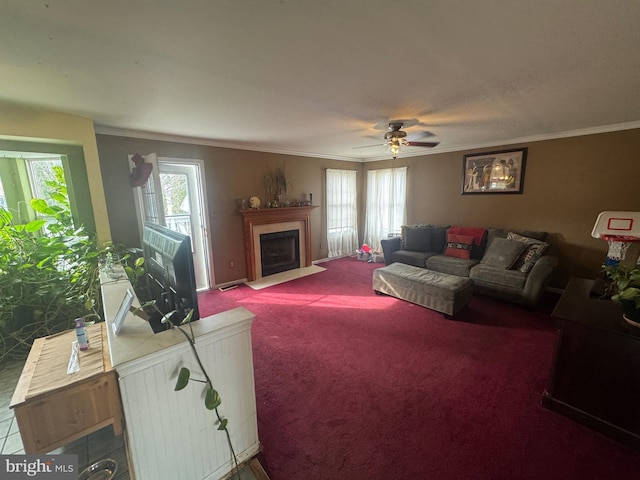 carpeted living room with ceiling fan and crown molding