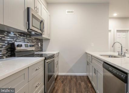 kitchen featuring backsplash, sink, stainless steel appliances, and dark wood-type flooring