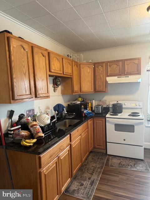 kitchen with electric stove, sink, dark hardwood / wood-style flooring, and ornamental molding