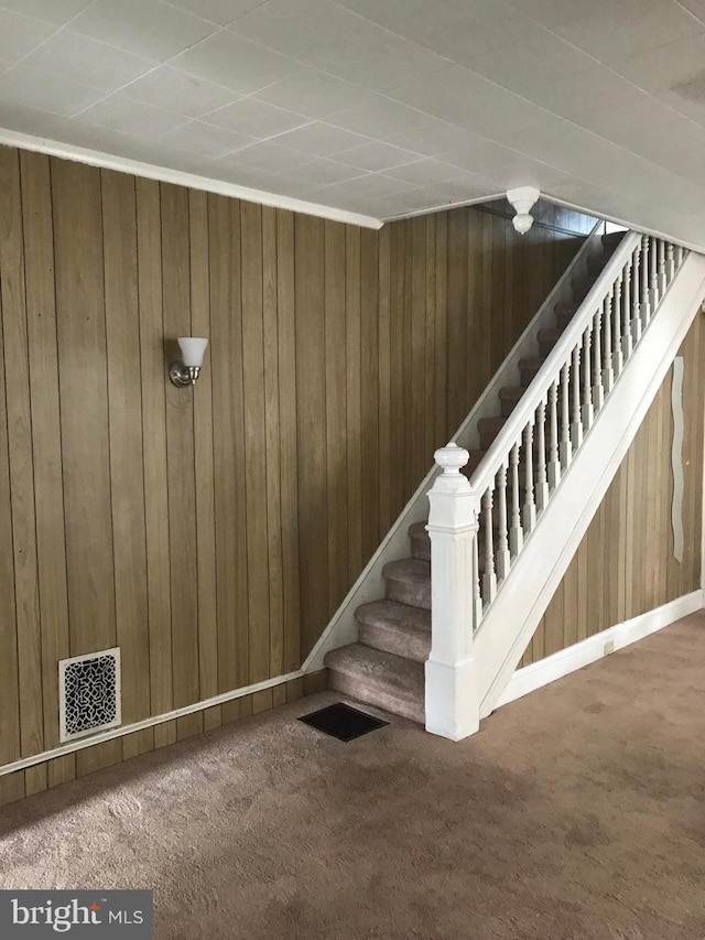 staircase featuring carpet flooring and wood walls