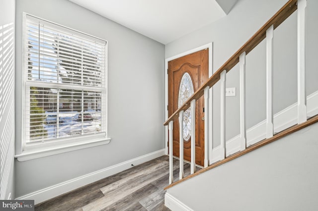 entryway featuring hardwood / wood-style flooring and a wealth of natural light