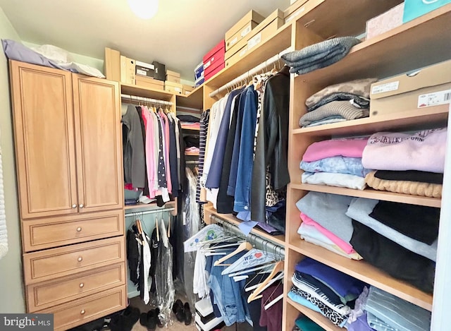 view of spacious closet