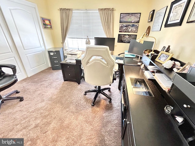 office space featuring carpet flooring