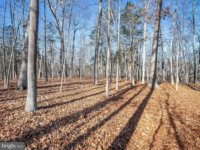 LOT6 Swift River Way, Shepherdstown WV, 25443 land for sale