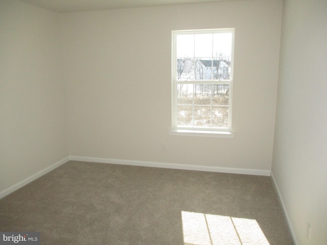 spare room with carpet