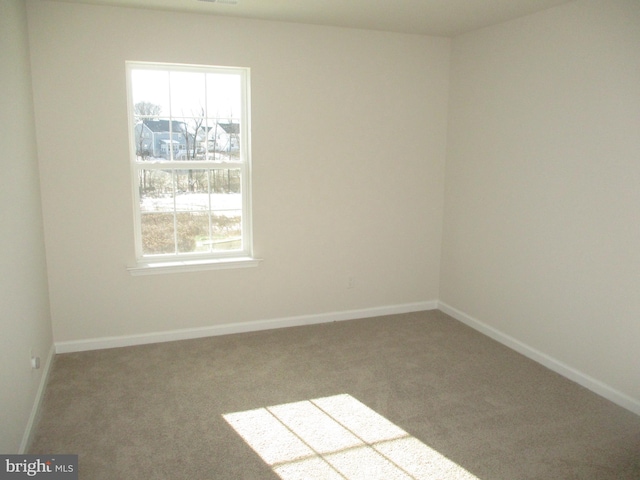 spare room with carpet flooring