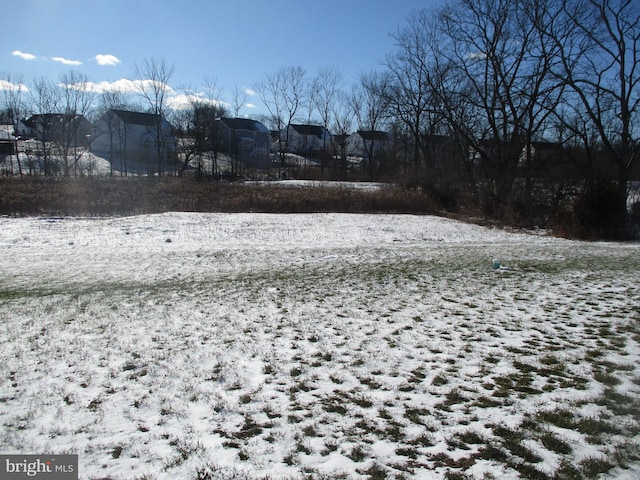 view of yard layered in snow