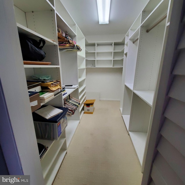 view of walk in closet