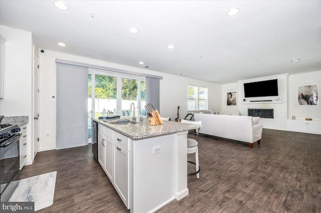 kitchen with black stove, light stone counters, sink, white cabinetry, and an island with sink