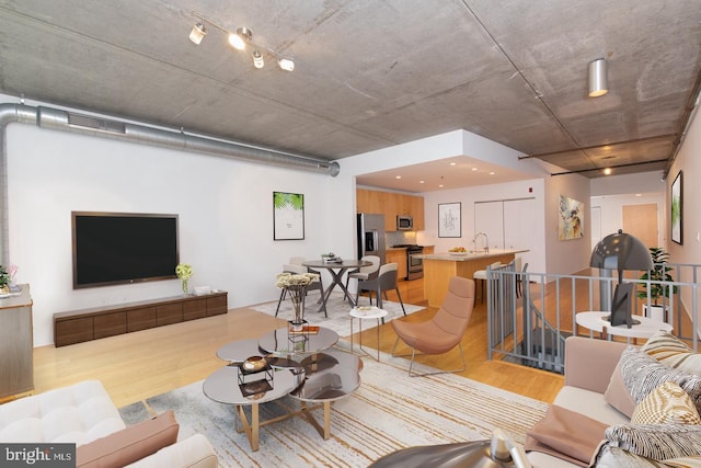 living room featuring sink and light hardwood / wood-style flooring