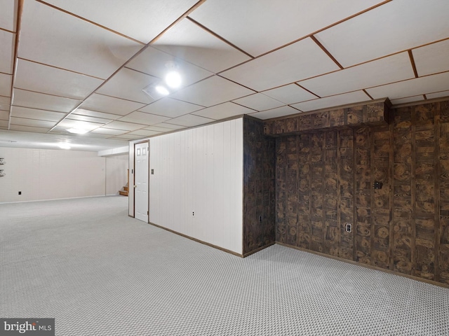 basement with wooden walls