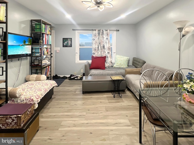 living room with light wood-type flooring