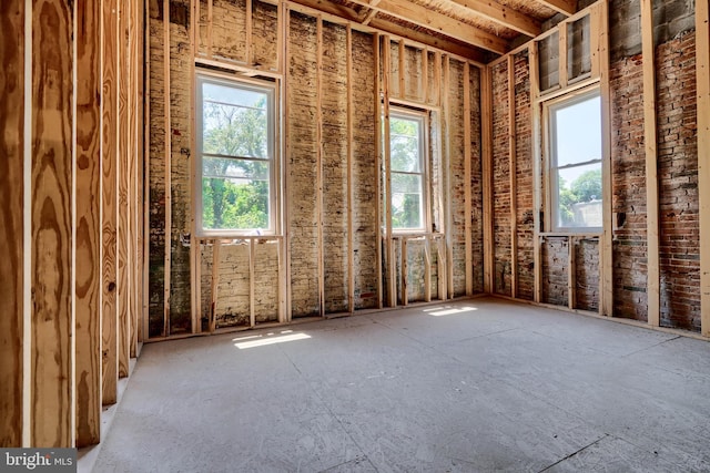 miscellaneous room featuring plenty of natural light