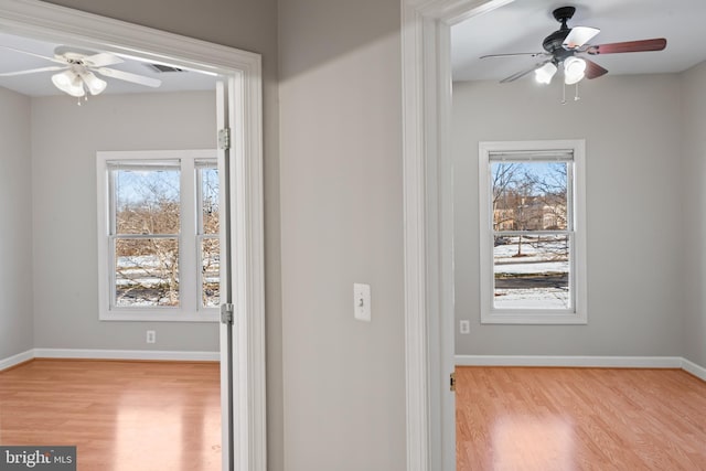 corridor featuring a healthy amount of sunlight and light hardwood / wood-style floors