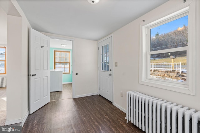 foyer with radiator and dark wood-type flooring