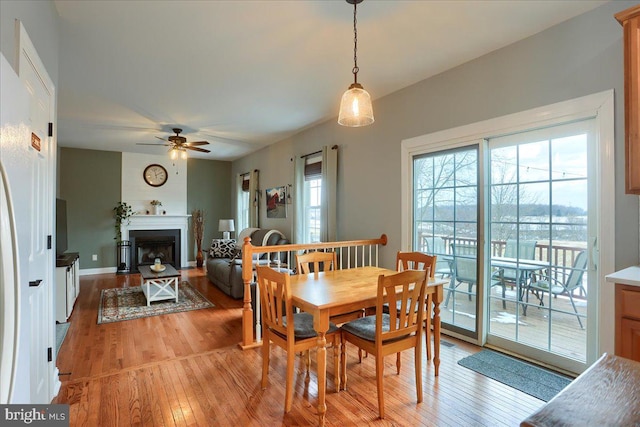 dining area featuring ceiling fan and light wood-type flooring