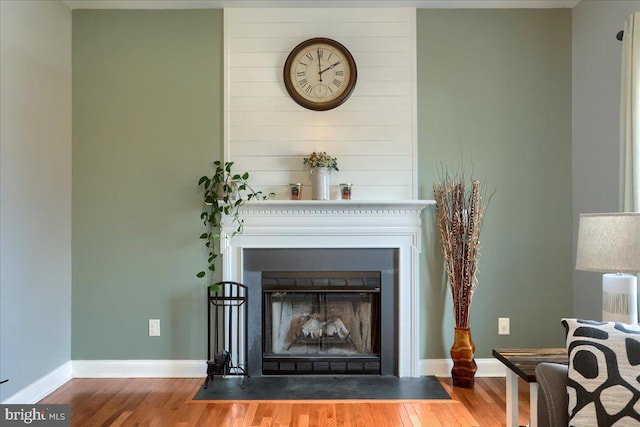 room details featuring a fireplace and wood-type flooring