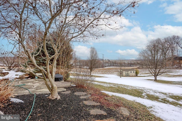 view of snowy yard