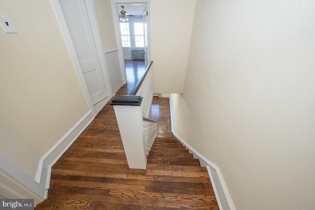 stairs featuring ceiling fan, wood-type flooring, and radiator