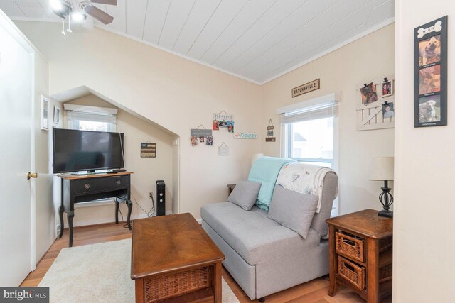 living area featuring ceiling fan, ornamental molding, and light hardwood / wood-style flooring