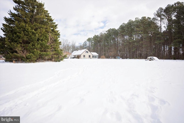 view of snowy yard