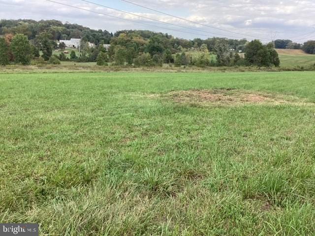 view of yard with a rural view