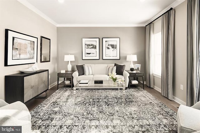 living room featuring hardwood / wood-style floors and ornamental molding