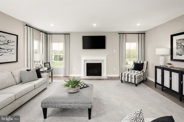 living room featuring a fireplace, hardwood / wood-style floors, and a healthy amount of sunlight