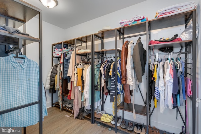 spacious closet featuring wood-type flooring