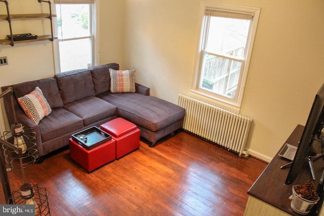 living room featuring radiator and dark hardwood / wood-style floors