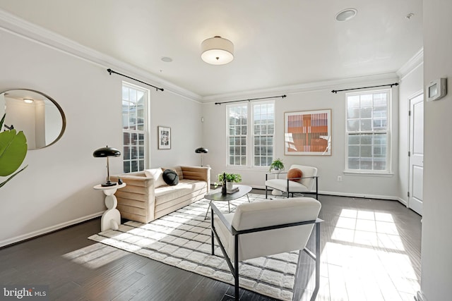 living room with a wealth of natural light, dark hardwood / wood-style floors, and ornamental molding