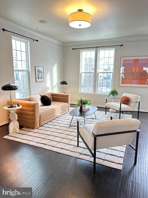 sitting room featuring dark hardwood / wood-style floors and crown molding