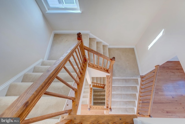 stairway featuring a skylight and hardwood / wood-style flooring