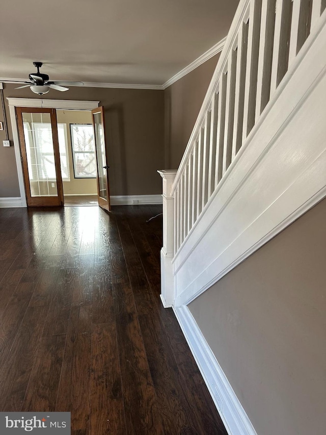 interior space featuring dark hardwood / wood-style flooring, ceiling fan, and ornamental molding