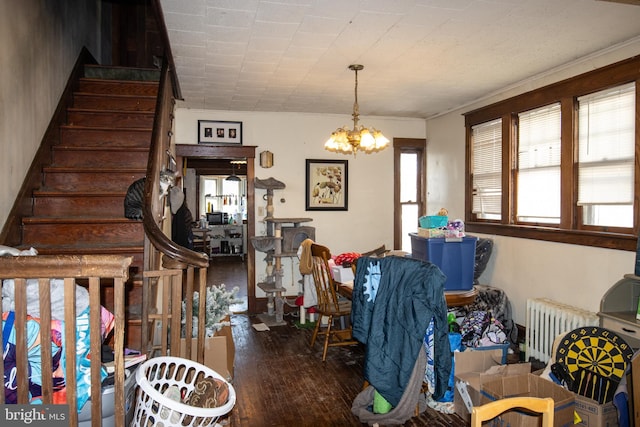 dining space with dark hardwood / wood-style floors, radiator, and a notable chandelier