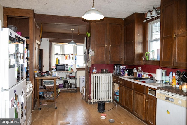 kitchen featuring sink, light hardwood / wood-style flooring, radiator, pendant lighting, and white appliances