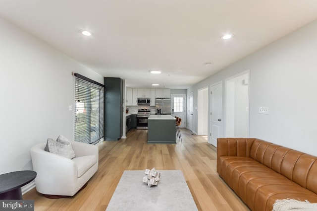 living room featuring light hardwood / wood-style floors