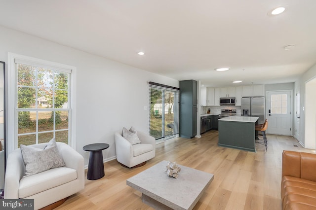 living room with light wood-type flooring and plenty of natural light