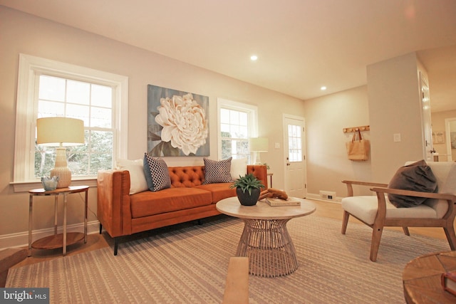 living room with a healthy amount of sunlight and light hardwood / wood-style flooring