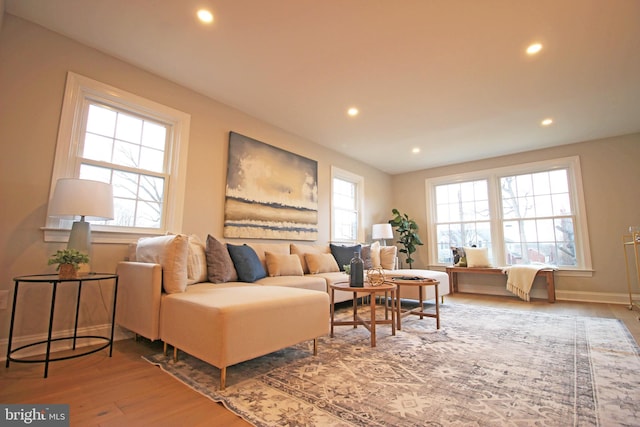 living room with hardwood / wood-style floors