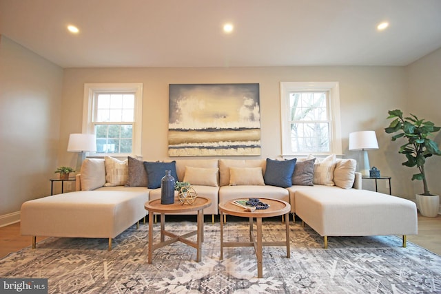 living room featuring hardwood / wood-style floors and plenty of natural light