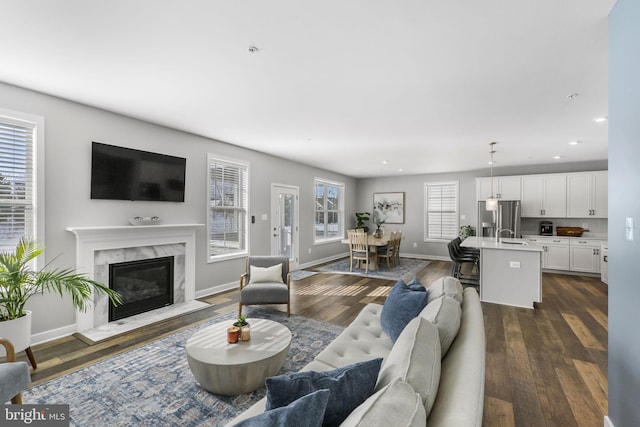 living room featuring a fireplace and dark hardwood / wood-style floors