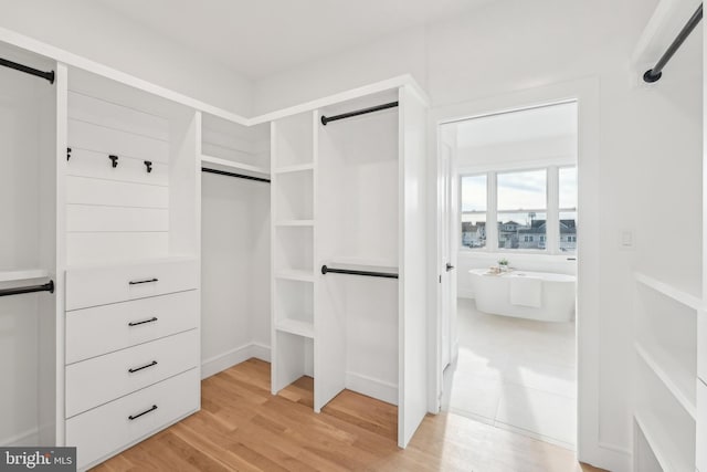 spacious closet with light hardwood / wood-style floors