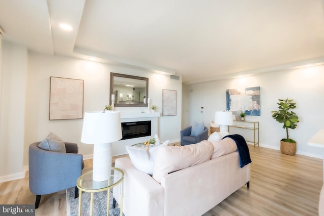 living room with light wood-type flooring