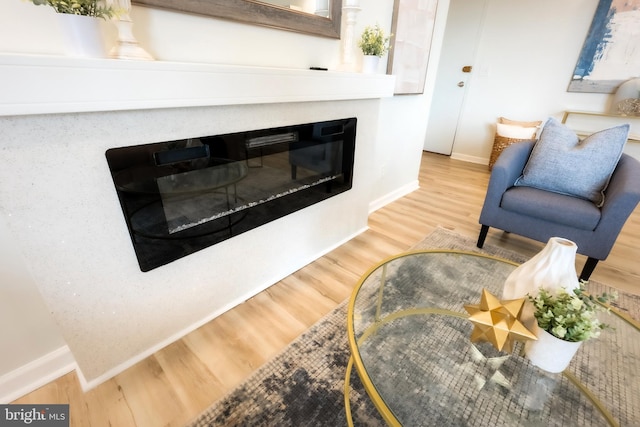 living room with hardwood / wood-style flooring