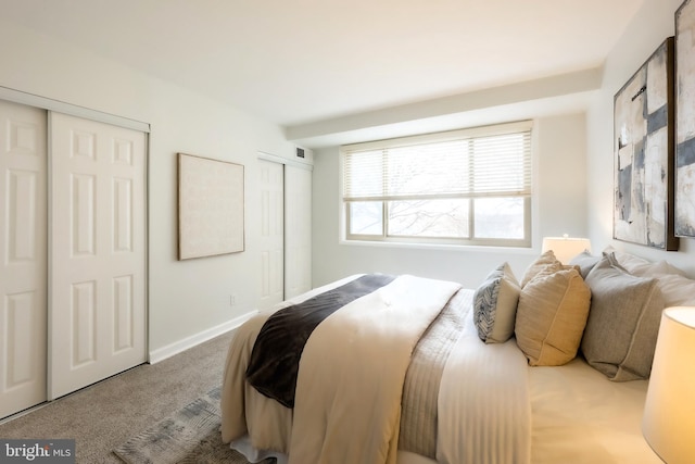 bedroom featuring carpet flooring and multiple closets