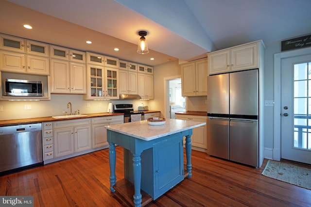 kitchen with appliances with stainless steel finishes, a wealth of natural light, sink, a center island, and dark wood-type flooring