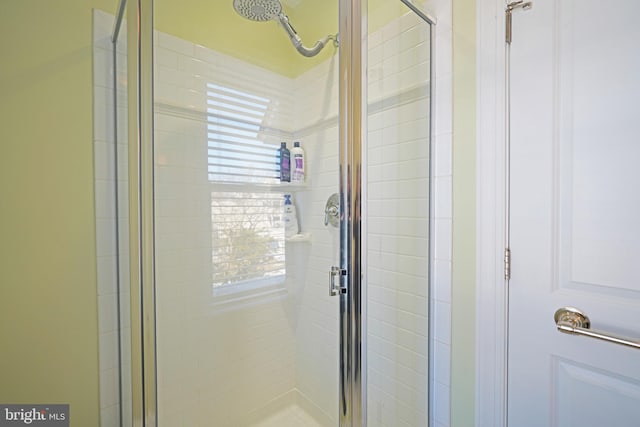 bathroom featuring a shower with shower door