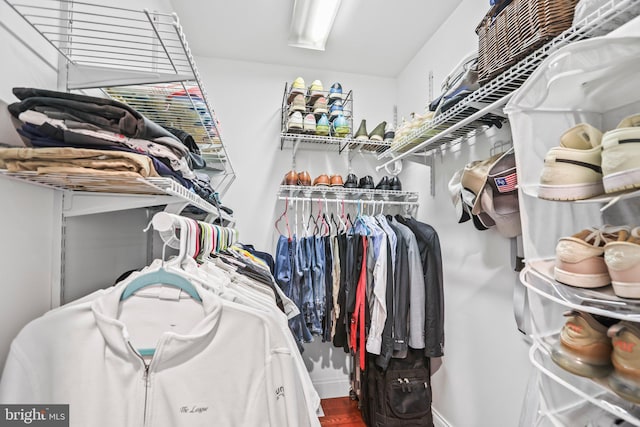 view of spacious closet